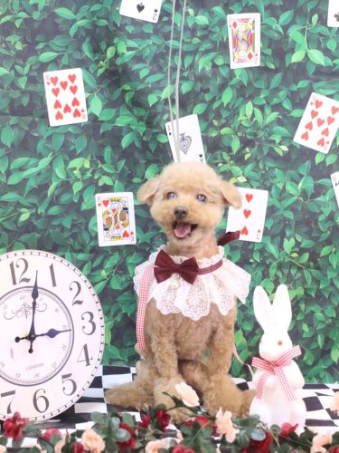 20250416ノアちゃん